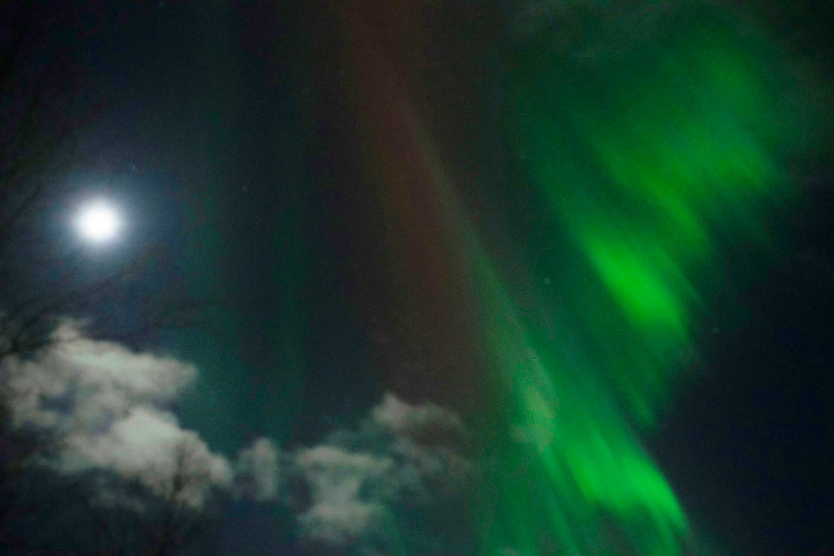 Polar lights 14.1.2022 in Asikkala, Finland.
